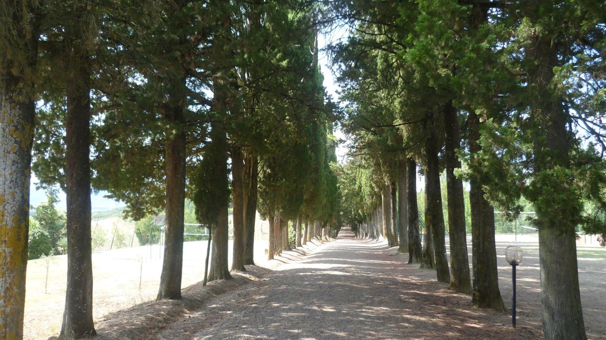 Hotel Villa San Donino Città di Castello Exterior foto